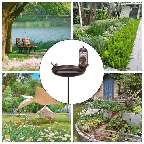 Bain d'oiseaux stable pour eviter les chutes de structure dans le jardin - 5