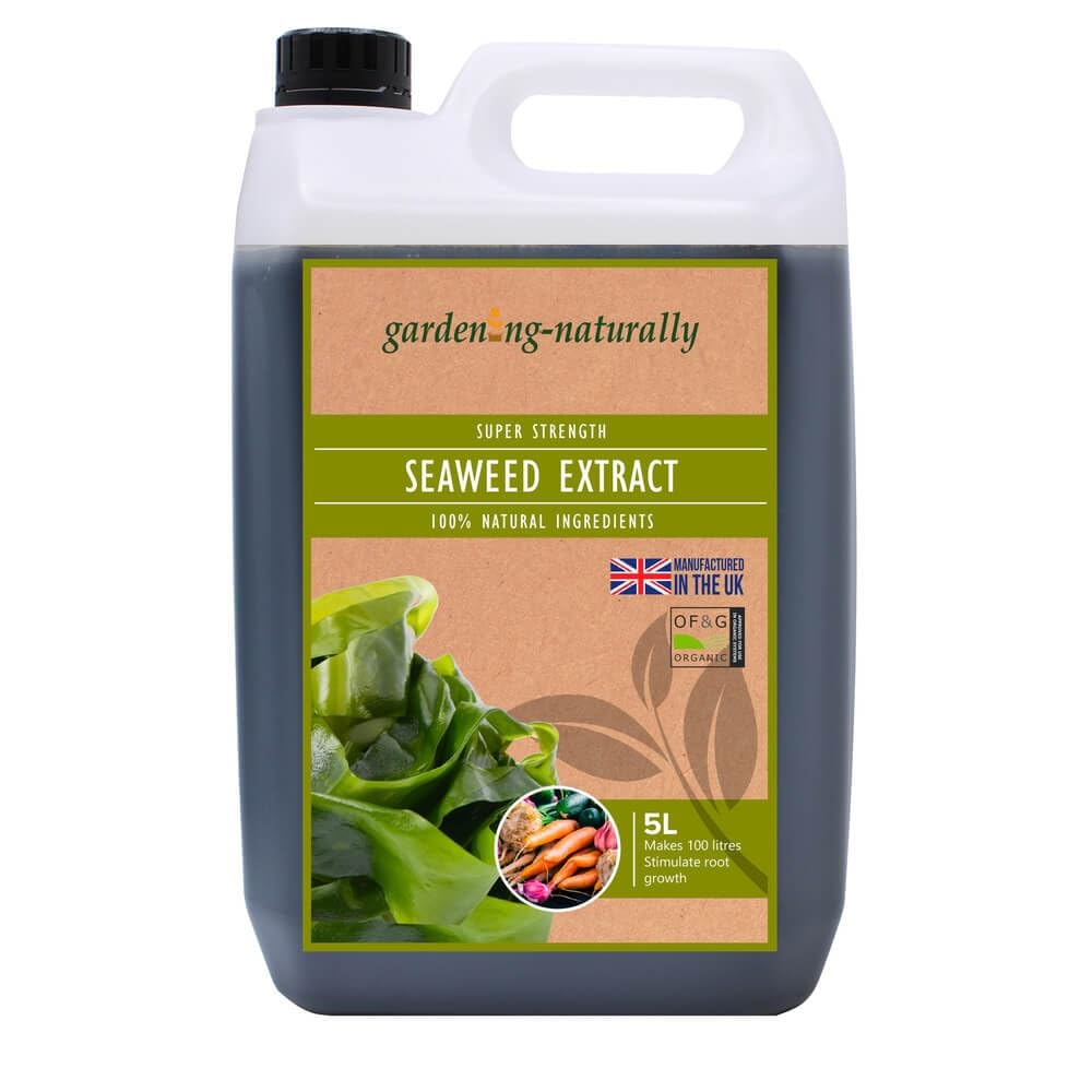 Seaweed Liquid Fertiliser Plant Food for Fruit, Vegetables or Flowers Natural and Organic Plant Feed Makes 500 Litres (5 Litres)