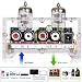 Preamplificador HiFi Vacuum Tube Preamplificador estéreo Mini clase A para amplificador de...