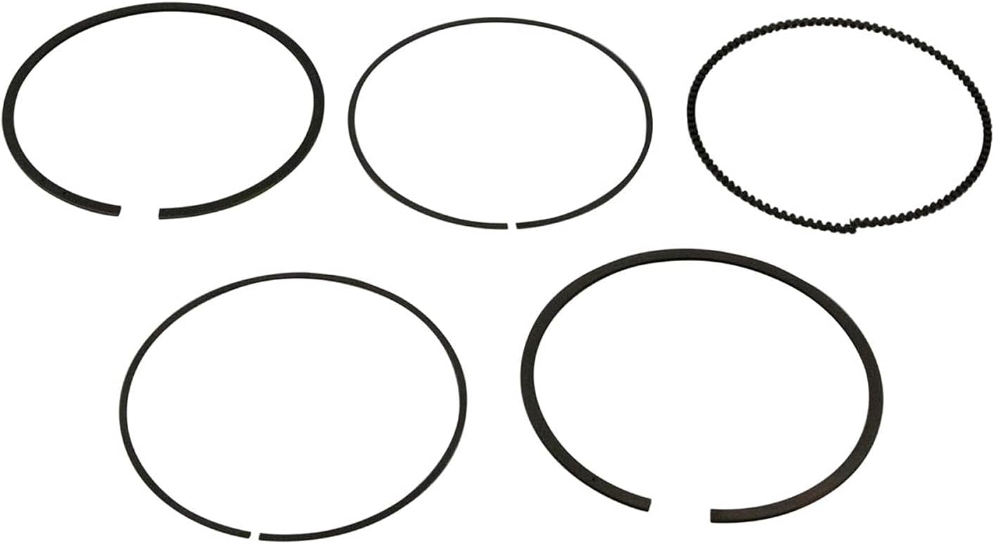 Polaris RZR Piston Rings Kit, Genuine OEM Part 2206217, Qty 1