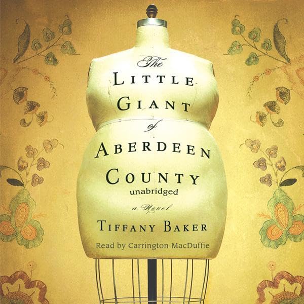 Cover art for The Little Giant of Aberdeen County