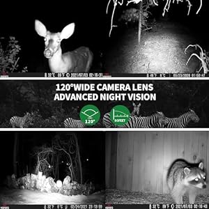 WOSPORTS Trail Camera(Non-Cellular Non-WiFi) 64MP 4K 0.2S Trigger Motion Activated, Game Camera with No-Glow Night Vision 2.0''LCD 120°Wide for Outdoor Scouting Wildlife Monitoring Home Security — photo 3 of 6