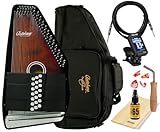 Oscar Schmidt OS21CE 21-Chord A/E Autoharp with Gig Bag Package