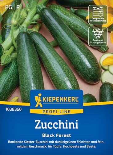 Kiepenkerl Profi-Line Zucchinisamen Black Forest 1038360 für 5 Pflanzen - Vertikale Kletterzucchini mit dunkelgrünen Früchten, Gemüsesamen ideal für Kübel & Hochbeete