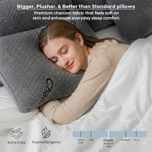Image of AYKA Premium Charcoal Pillow for Sleeping, Set of 4 | 17x27 Inch Hotel Luxury Bed Pillows | 100% Virgin Microfiber Fill, Soft & Fluffy | Neck Support for Side, Back & Stomach Sleepers | Grey