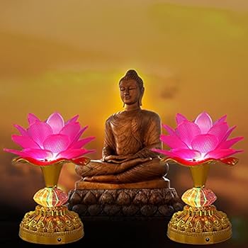 Lacgo Pack Of 2 Led Lotus Buddhist Lights Color Changing Gradient Buddha Lotus Lamps Plug In Or Battery Operated Buddhist Worship Prayer Faith Supply Things 3 3 W 5 5 H Pink Amazon Com