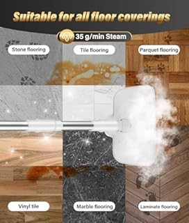 PAHTTO Pulitore a vapore con unità principale rimovibile, 17 accessori e serbatoio dell'acqua da 500 ml, pulitore a vapore manuale per pavimenti, parquet, piastrelle, fughe, tappeti, cucina e bagno