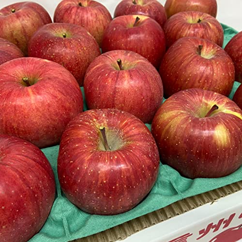 󂠂  Tӂ 5kg 쌧Y ƒp Y