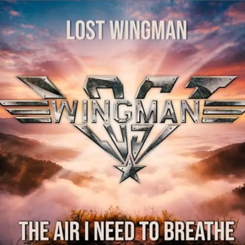 Entrevista a Lost Wingman