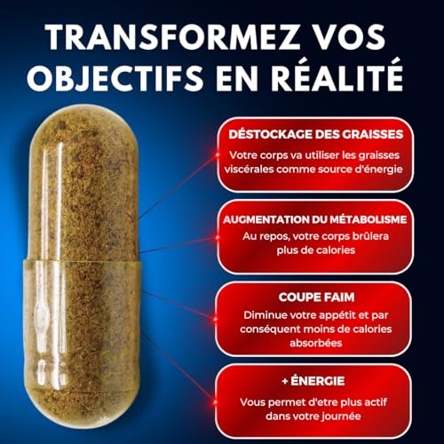 Brûleurs De Graisse Puissant ✗ Basé sur 43 études scientifiques ✗ Hautement Dosé ✗ Augmentation du Métabolisme ✗ Déstockage Des Graisses ✗ Coupe-faim ✗ Perte de poids ✗ – Image 3