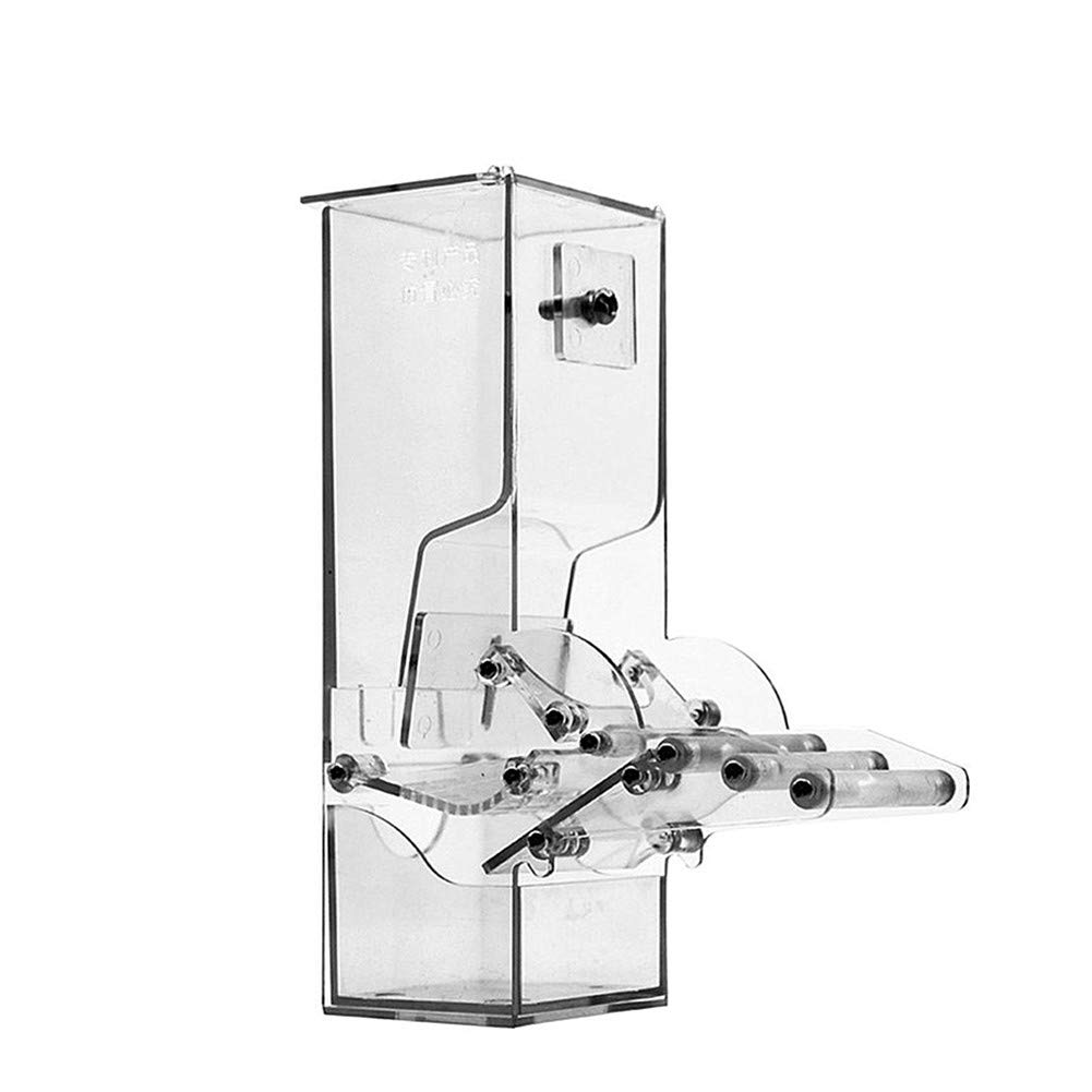 Tpmall Bird Feeder Hanging Parrot Feeder Bird Nut Feeder Bird Feed Storage Hanging Bird Feeders Garden Bird Feeder Bird Feeding Small Bird Feeder