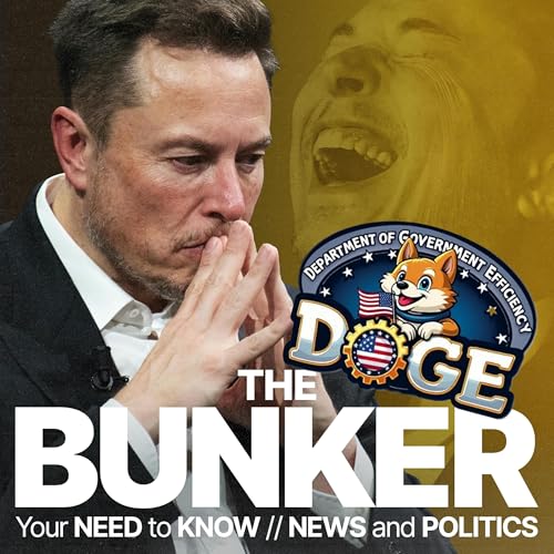 Why Elon Musk&rsquo;s &lsquo;DOGE&rsquo; plan is doomed to fail cover art