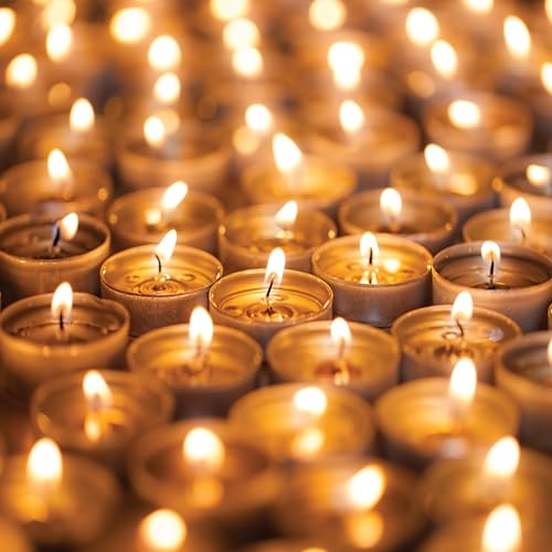 Image of Grob Carnival Festive Unscented Tealight Candles | Smokeless Wax Tealights for Festive Decoration | 3-4 Hours Burning Time | 8g Each | Pack of 100 (Pack of 2)