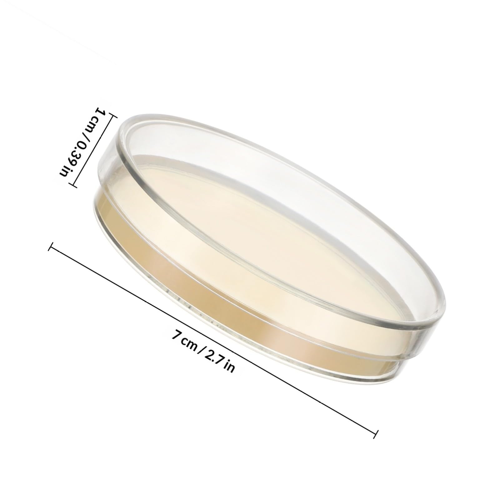 Placa de Petri Pre-vertida 7cm con Agar Nutritivo, 10 Piezas | Placas de Petri con Agar, Placas de Agar para Laboratorio, Decoracion Colegio