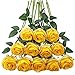 Produktbild Tifuly 12 PCS Künstliche Rosen, 19,68 '' Single Long Stem Fake Rose Seide Braut Hochzeitsstrauß Realistische Blume für Hausgarten Party Hotel Büro Dekor (Blossom Roses, Gelb)