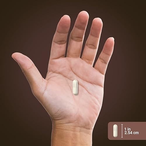 Miniatura 7 de Piping Rock Cápsulas de musgo marino irlandés | 2250 mg | 170 unidades | Complejo con vejiga y raíz de bardana | Suplemento sin OMG, sin gluten