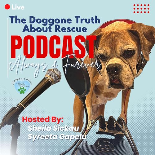 The Doggone Truth About Rescue - Always & Furever cover art