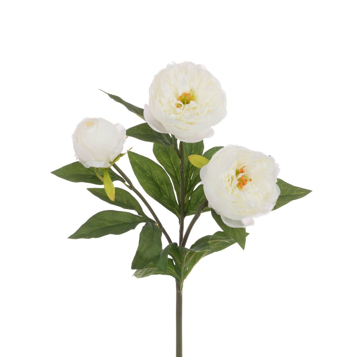 Floristrywarehouse White Faux Silk Long Peony Stem 76Cm/30 Inches Tall