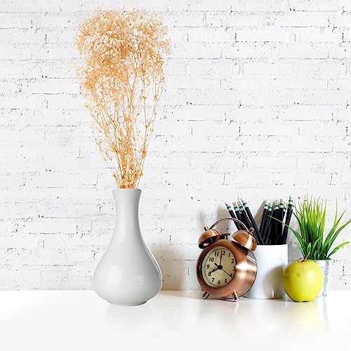Ramo de flores secas Babysbreath para decoración miniatura 4