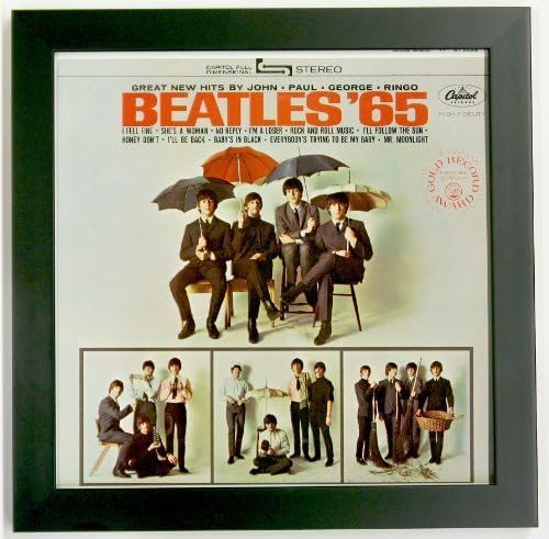 Record Album Sleeve Display Frame Featuring Solid Wood Frame and Glass Front (Not Plastic) (Black Frame)