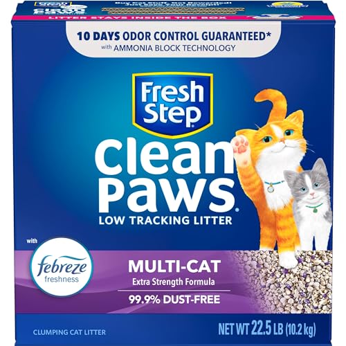 11 Best Cat Litters Say Goodbye to Mess and Odors