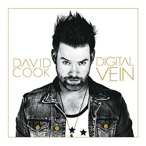 Digital Vein by David Cook