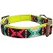 Blueberry Pet 2 Colors Soft & Comfy Southwestern Vintage Tribal Print Padded Adjustable Dog Collar, Extravagant Green, Large, Neck 18