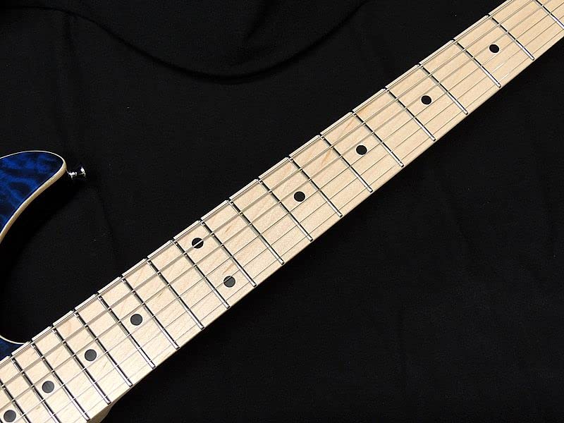 Amazon | SCHECTER SD-2-24-AL-VTR BLU/M シェクター シンクロトレモロ