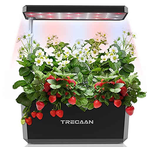 Amazon.co.uk Best Sellers The most popular items in Hydroponic Growing