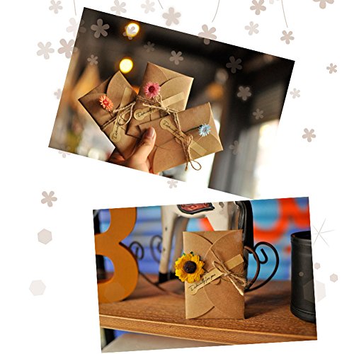 Hansgo Gift Card Envelopes, 100Pcs 4 X 2.8 Inch Cute Envelopes Small Gift Card Holders Mini Seed Envelopes With Heart Shaped Clasp #TOP6