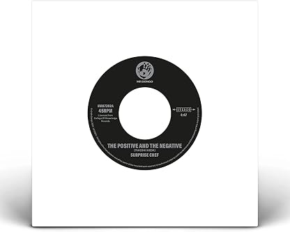 7-The Positive And The Negative por Surprise Chef, capa do álbum
