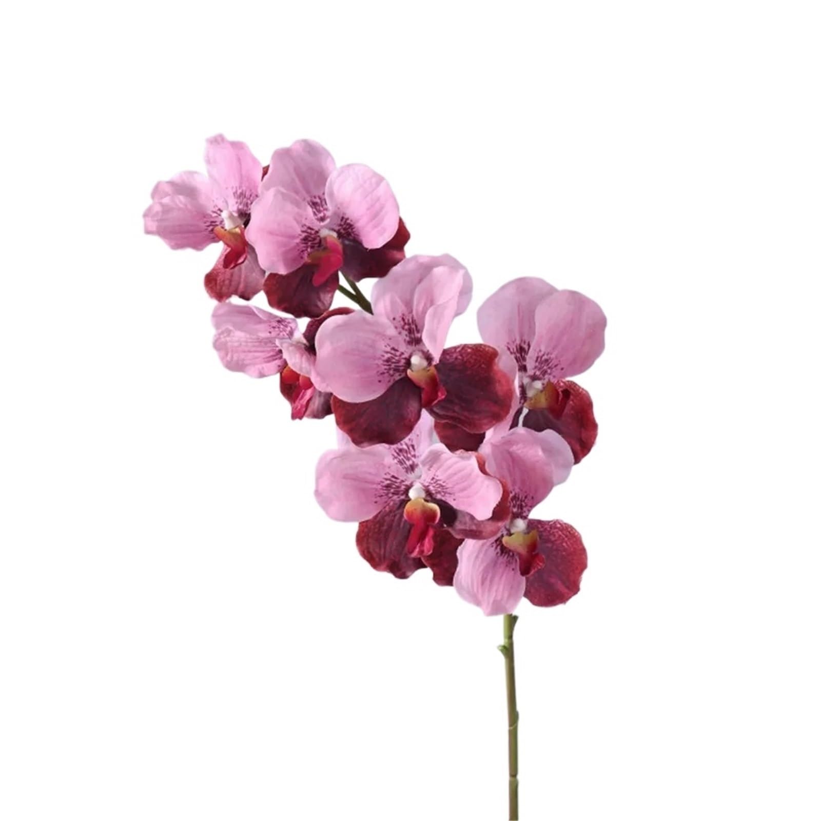LSYHHXC Artificial Orchid 1 Pc 80 CM Artificial Vanda Orchid Phalaenopsis Branch Floral Arrangements Realistic Simulation Flower