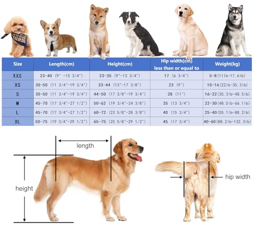 Silla de ruedas para perros grandes y pequeños con soporte ajustable para lesiones de LCA y LCC 7