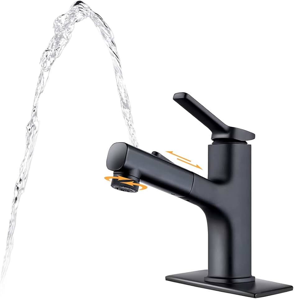 bathroom sink faucet with sprayer