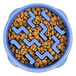 Outward Hound Slow Feeder Dog Bowl - Makes Meal Time Fun, Slows Down Eating, Promotes Healthy Digestion, Prevents Bloat | Slip Resistant and Durable, Food & Water Bowl, Size Medium (Blue)