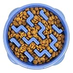 Outward Hound Fun Feeder Slo Bowl – Medium 2‑Cup Capacity, Slow Feeding, Small to Medium Dogs & Cats, Non-Slip, Blue, Notch Pattern