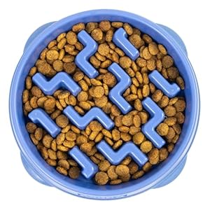 Outward Hound Fun Feeder Slo Bowl – Medium 2‑Cup Capacity, Slow Feeding, Small to Medium Dogs & Cats, Non-Slip, Blue, Notch Pattern