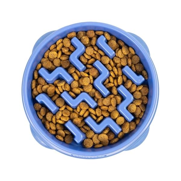 Outward Hound Fun Feeder Slo Bowl – Medium 2‑Cup Capacity, Slow Feeding, Small to Medium Dogs & Cats, Non-Slip, Blue, Notch Pattern