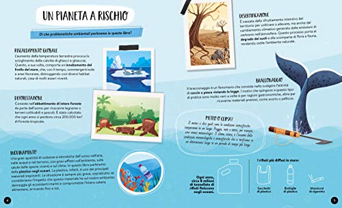 La Terra. Cosa, Come, Perché. Ediz. A Colori. Con Poster - 2