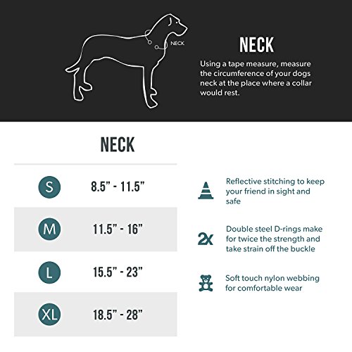 image for EzyDog Double Up Premium Nylon Dog Collar with Reflective Stitching - 