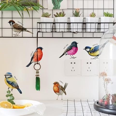 6 Birds Wall Decals Parrow Blue Tit Bullfinch Great Tit Robin Wall Stickers & Murals Removable Bedroom Wall Decals Peel and Stick Window Clings for Kids Room Baby Nursery Classroom Furniture Decor Cover