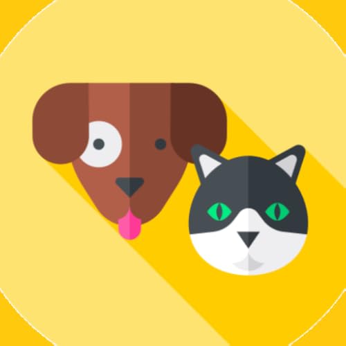 Pet Age Calculator
