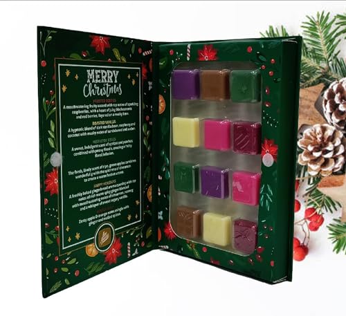 Christmas Wax Melt Advent Calendar 12 Days Of Wax Melts Assorted Fragrances Spice Berry Vanilla