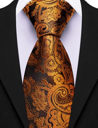Image of Barry.Wang Paisley Tie for Men Silk Woven Necktie and Tie Clip Set Wedding Party Business Formal