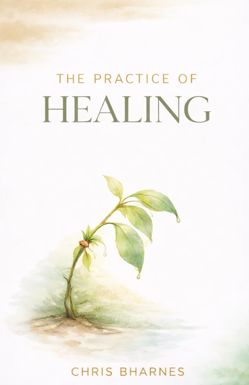 The Practice of Healing: A guided journey through self-reflection, emotional repair, and inner growth