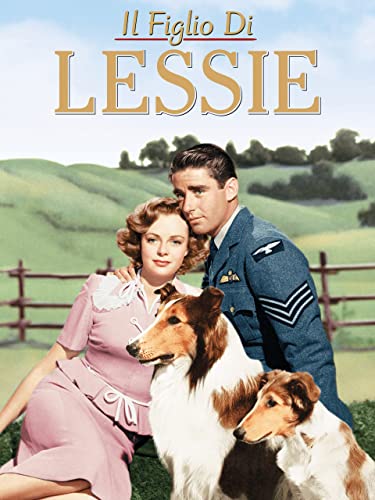  Il Figlio Di Lessie