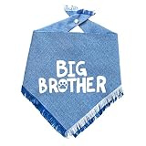 Everything Tailed Blue Big Brother Dog Bandana for Pregnancy Announcement, Pet Photo Prop, Handkerch