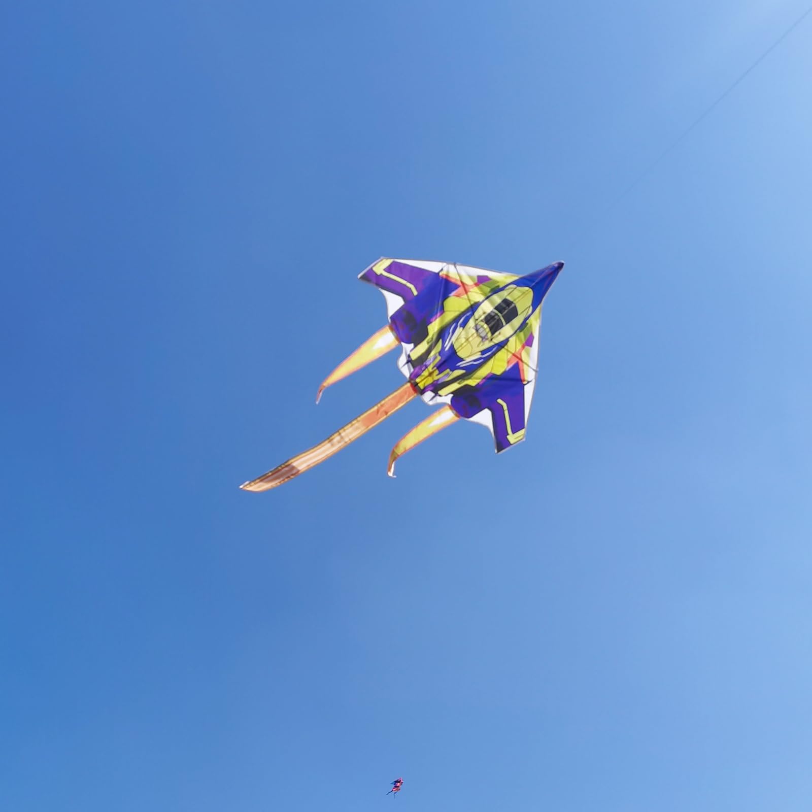 Besra Colorful Plane Kite Single Line Easy to Fly Aircraft Nylon Kite for Kids & Adults (Blue)