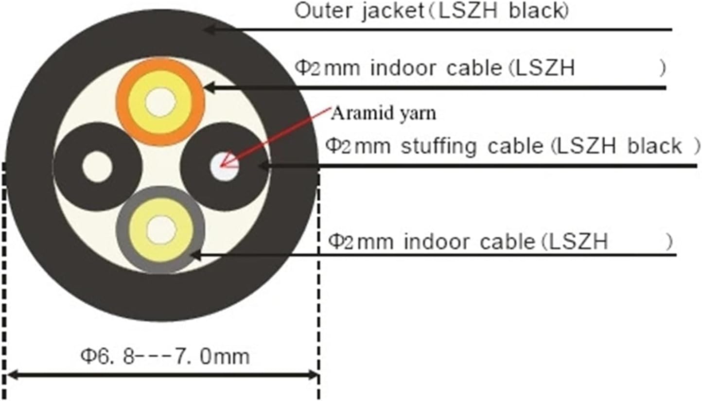 ワールドワイドキッズ フォニックスディクショナリー 限定一点