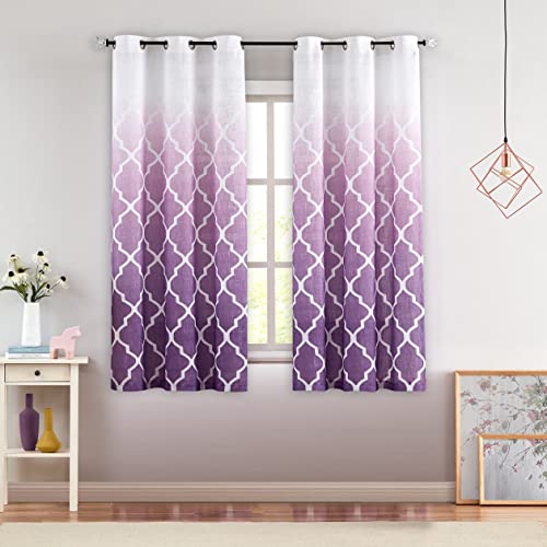 Beauoop Lot de 2 rideaux semi-transparents aspect lin ombré dégradé de couleur 107 cm de large avec œillets pour le salon, la chambre à coucher (107 × 175 cm, violet) Cover